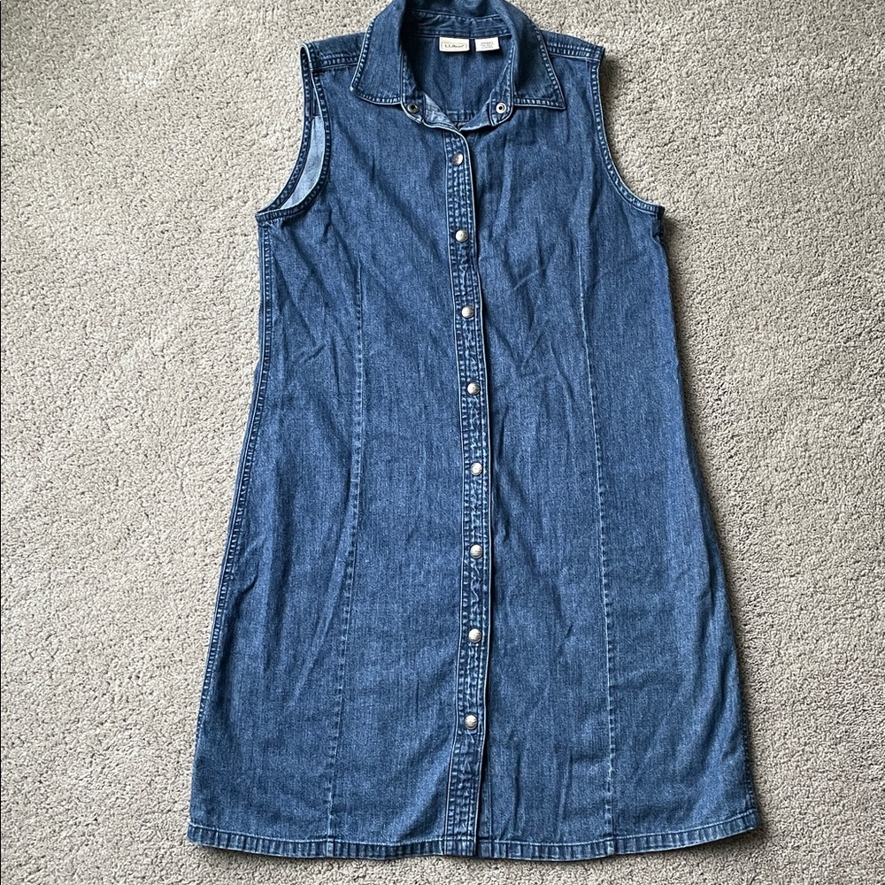 LLBean Denim Dress